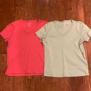 2 pack v- neck short sleeve